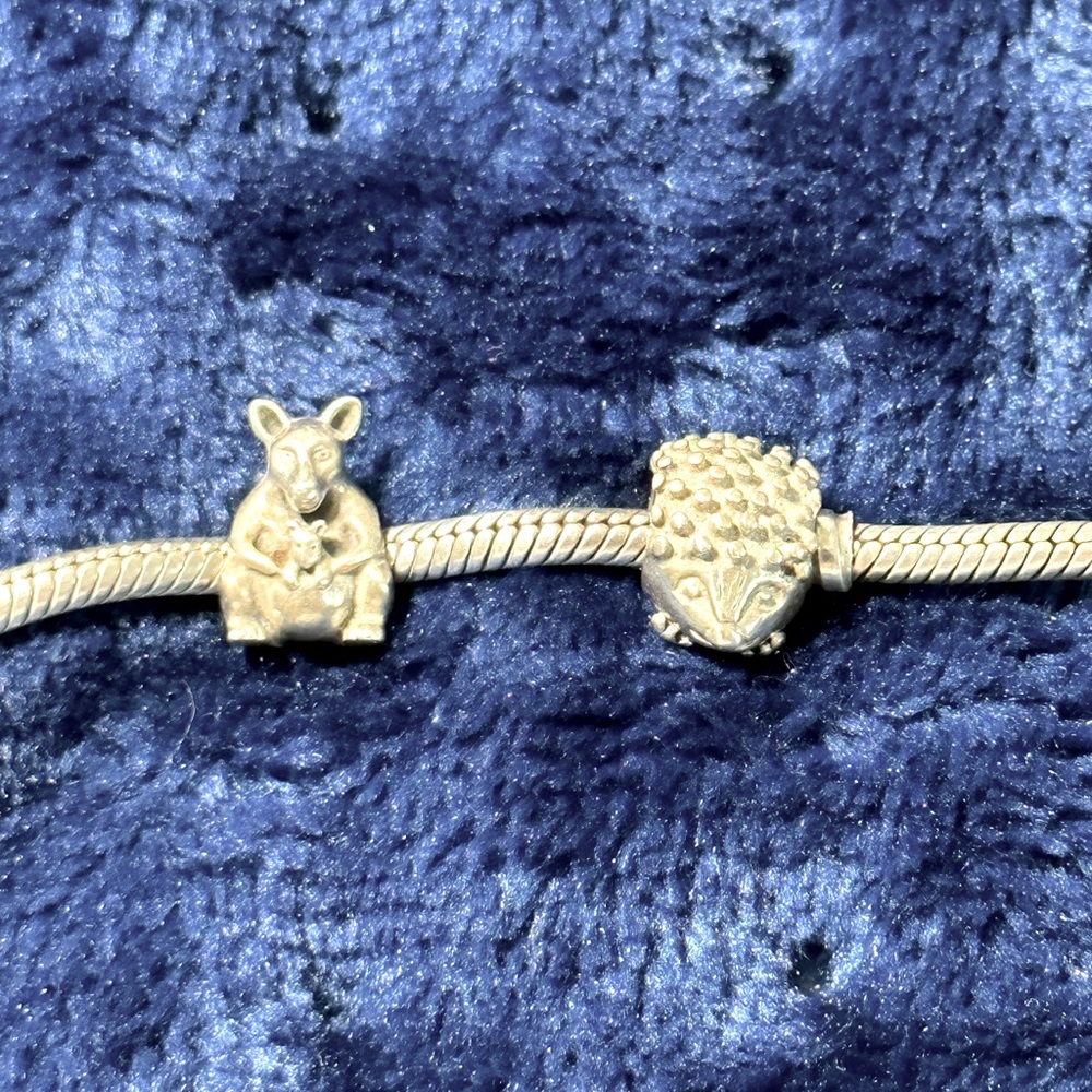 Pandora set of two  charms